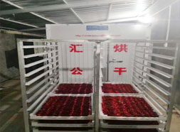 辣椒，秋葵烘干機(jī)